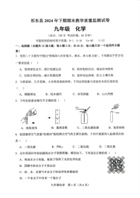 湖南省衡阳市祁东县2024-2025学年九年级上学期期末考试化学试题