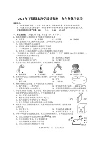 湖南省岳阳市2024-2025学年九年级上学期期末考试化学试卷