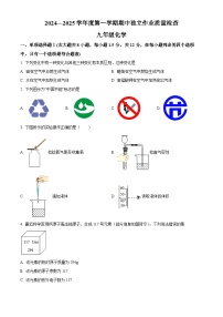 精品解析：广东省深圳市龙岗区2024--2025学年九年级上学期期中独立作业检查化学试题+答案