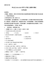 精品解析：广东省深圳市坪山区2024-2025学年九年级上学期11月期中考试化学试题+答案