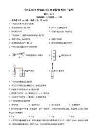 精品解析：广东省深圳市福田区2024-2025学年九年级上学期质量检测化学试题+答案