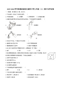 2025-2026学年海南省琼海市嘉积中学九年级（上）期中化学试卷-自定义类型