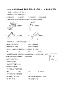 2025-2026学年海南省琼海市嘉积中学九年级（上）期中化学试卷-自定义类型