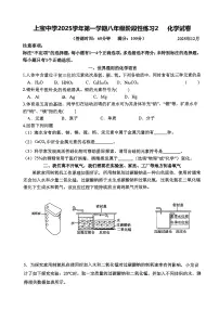 上海市上宝中学2025-2026学年八年级上学期12月月考化学试卷