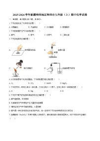 2025-2026学年新疆和田地区和田市九年级（上）期中化学试卷-自定义类型