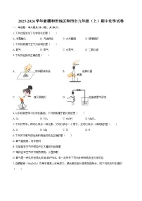 2025-2026学年新疆和田地区和田市九年级（上）期中化学试卷-自定义类型