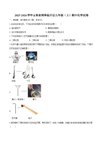 2025-2026学年山东省菏泽经开区九年级（上）期中化学试卷-自定义类型