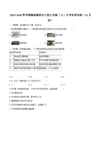 2025-2026学年湖南省衡阳市八校九年级（上）月考化学试卷（12月份）-自定义类型