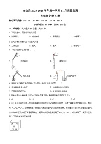 新疆维吾尔自治区和田地区皮山县多校联考2025-2026学年九年级上学期12月月考化学试题（含答案+解析）