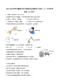 2025-2026学年安徽省安庆市岳西县五校联考九年级（上）月考化学试卷（12月份）-自定义类型