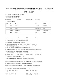 2025-2026学年黑龙江省大庆市靓湖教育集团九年级（上）月考化学试卷（12月份）-自定义类型