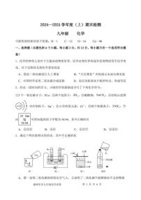 内蒙古呼伦贝尔市满洲里市2024-2025学年九年级上学期期末检测化学试题