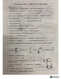 山东省德州市齐河县2024-2025学年八年级上学期期末测试化学试卷