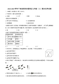 2024-2025学年广东省深圳市福田区九年级（上）期末化学试卷（含答案）