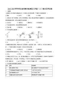2024-2025学年河北省邯郸市临漳县九年级（上）期末化学试卷（含答案）