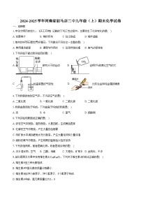 2024-2025学年河南省驻马店二中九年级（上）期末化学试卷（含答案）