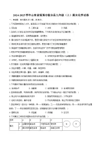 2024-2025学年山东省淄博市桓台县九年级（上）期末化学试卷（含答案）