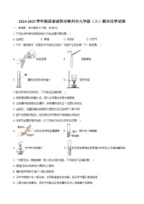 2024-2025学年陕西省咸阳市彬州市九年级（上）期末化学试卷（含答案）