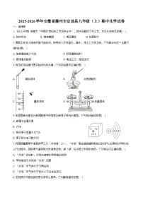 2025-2026学年安徽省滁州市定远县九年级（上）期中化学试卷（含答案）