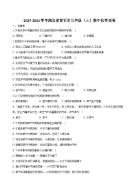 2025-2026学年湖北省黄石市九年级（上）期中化学试卷（含答案）