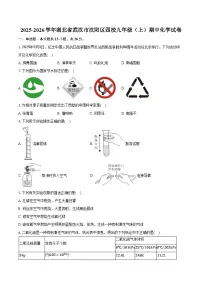 2025-2026学年湖北省武汉市汉阳区四校九年级（上）期中化学试卷（含答案）
