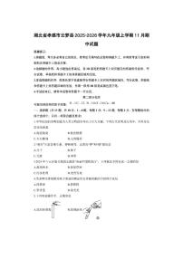 湖北省孝感市云梦县2025-2026学年九年级上学期11月期中化学试卷（学生版）