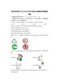 湖北省石首市2025-2026学年九年级上学期期中质量检测化学试卷（学生版）