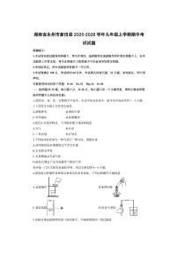 湖南省永州市新田县2025-2026学年九年级上学期期中考试化学试卷（学生版）