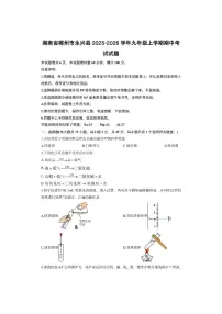湖南省郴州市永兴县2025-2026学年九年级上学期期中考试化学试卷（学生版）