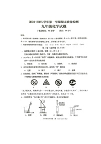 山东省青岛市城阳区2024-2025学年九年级上学期期末考试化学试卷