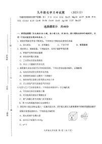 2025年济南市槐荫区十二中初三化学上学期12月份月考试题（无答案）