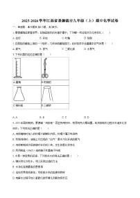 2025-2026学年江西省景德镇市九年级（上）期中化学试卷-自定义类型