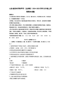 山东省滨州市邹平市（五四制）2024-2025学年九年级上学期期末化学试卷（学生版）