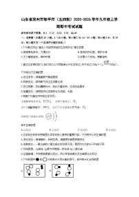 山东省滨州市邹平市（五四制）2025-2026学年九年级上学期期中考试化学试卷（学生版）