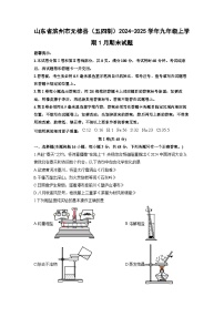 山东省滨州市无棣县（五四制）2024-2025学年九年级上学期1月期末化学试卷（学生版）