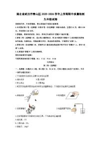 湖北省武汉市青山区2025-2026学年上学期期中质量检测九年级化学试卷（学生版）