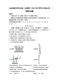 山东省滨州市沾化区（五四制）2024-2025学年九年级上学期期末化学试卷（学生版）