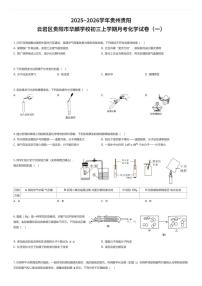 2025~2026学年贵州贵阳云岩区贵阳市华麟学校初三上学期月考化学试卷（一）（有答案解析）