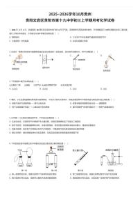 2025~2026学年10月贵州贵阳云岩区贵阳市第十九中学初三上学期月考化学试卷（有答案解析）