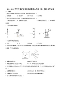 2024-2025学年河南省驻马店市新蔡县九年级（上）期末化学试卷（含答案）
