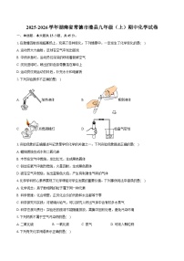 2025-2026学年湖南省常德市澧县九年级（上）期中化学试卷（含答案）
