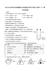 2025-2026学年山东省威海市火炬高技术产业开发区九年级（上）期中化学试卷（含答案）