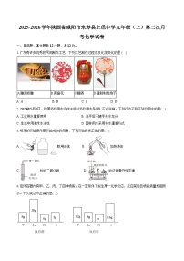 2025-2026学年陕西省咸阳市永寿县上邑中学九年级（上）第三次月考化学试卷（含答案）