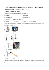 2025-2026学年山东省菏泽市牡丹区九年级（上）期中化学试卷（含答案+解析）