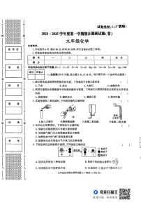 陕西省渭南市2024-2025学年九年级上学期期末调研化学试卷