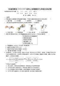 湖北省武汉市东湖高新区2024-2025学年九年级上学期期末考试化学试题