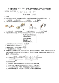 湖北省武汉市东湖高新区2024-2025学年九年级上学期期末考试化学试题