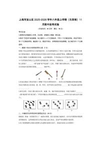 上海市宝山区2025-2026学年八年级上学期（五四制）11月期中统考化学试卷（学生版）