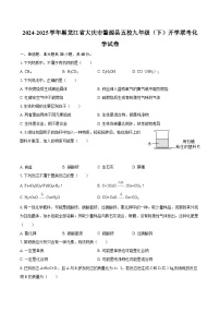 2024-2025学年黑龙江省大庆市肇源县五校九年级（下）开学联考化学试卷-自定义类型