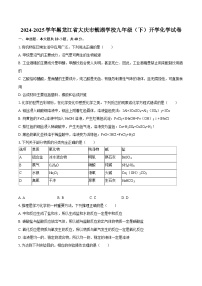 2024-2025学年黑龙江省大庆市靓湖学校九年级（下）开学化学试卷-自定义类型